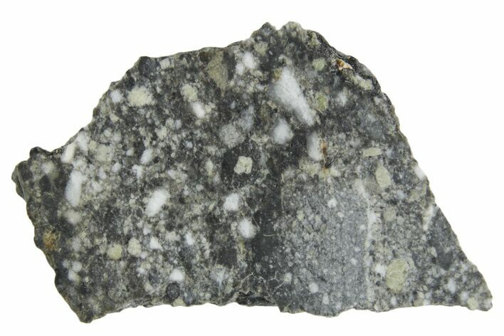 Polished Lunar Meteorite ( g) Slice - Aridal #360146